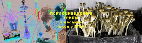 мяу мяу кристалл Переславль-Залесский