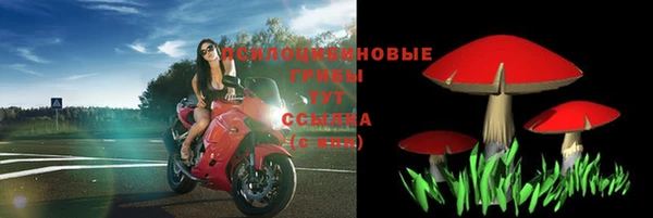 spice Пересвет