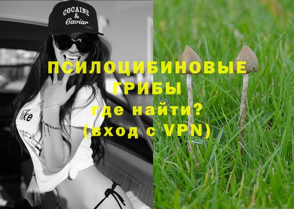 apvp Абаза