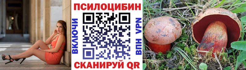 KRAKEN онион  Лосино-Петровский  Псилоцибиновые грибы Psilocybe 